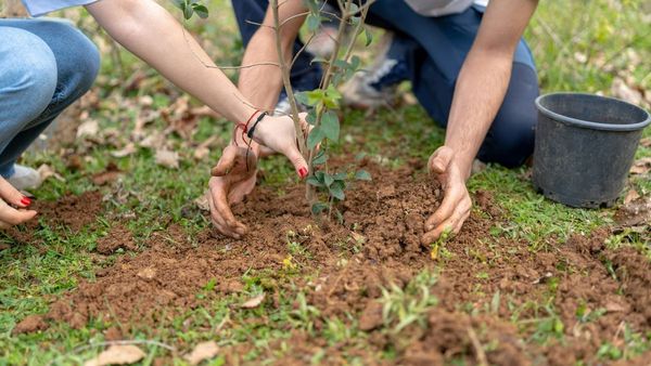 UAE Gen Z s Growing Demand for Green Jobs