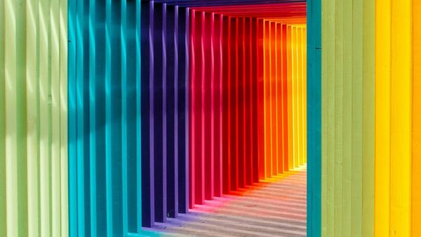 2024 s Top Trending Colours