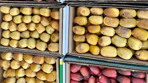 Economic Boost from Dates Carnival Economic Boost from Dates Carnival