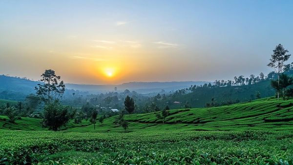 Explore Sri Lanka s Hidden Gems