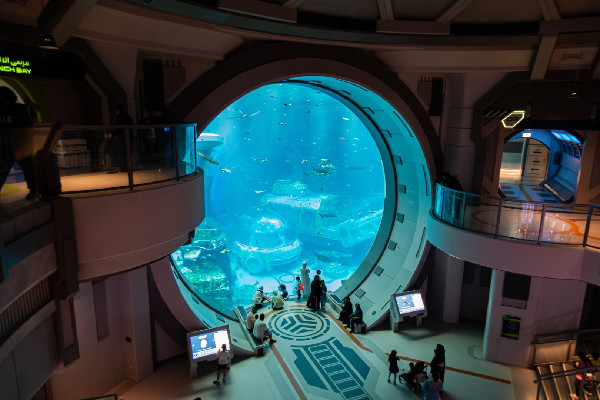 UAE's Summer Fun Havens