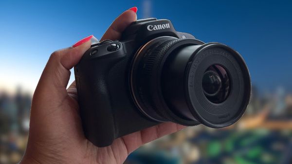 Canon EOS R50  A Compact Mirrorless Wonder For New Photographers