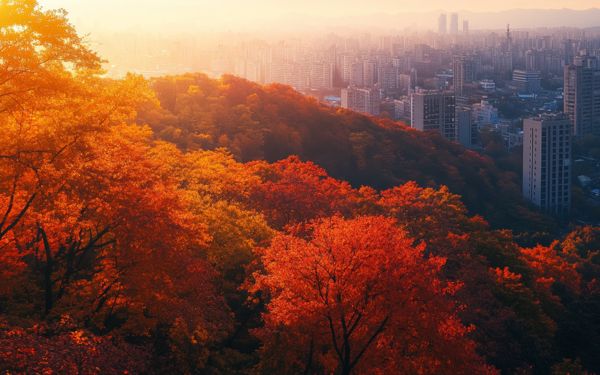 Seasonal Travel Guide for UAE Residents