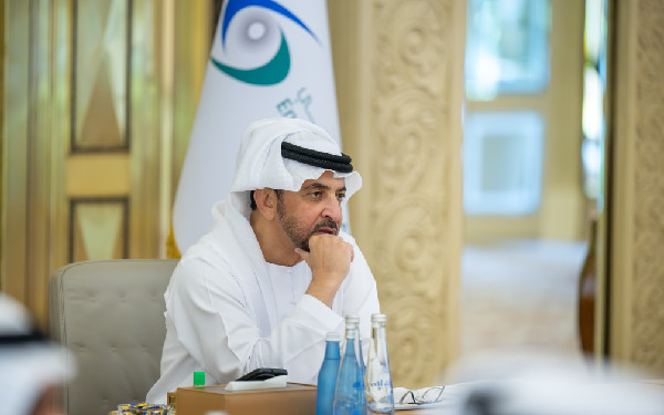 AI's Impact on Sustainability Discussed by Hamdan bin Zayed