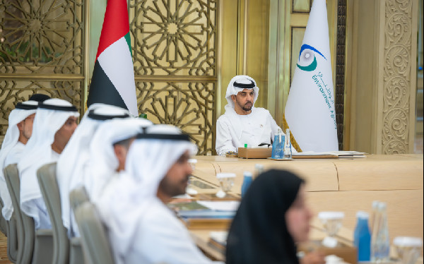 AI's Impact on Sustainability Discussed by Hamdan bin Zayed