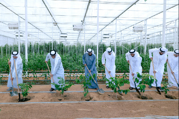 Launch of 'Plant the Emirates' Programme