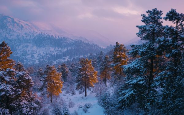 Discover 7 Snowy Winter Getaways Near The UAE