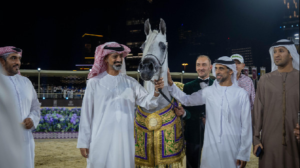Ammar bin Humaid at Arabian Horse Championship