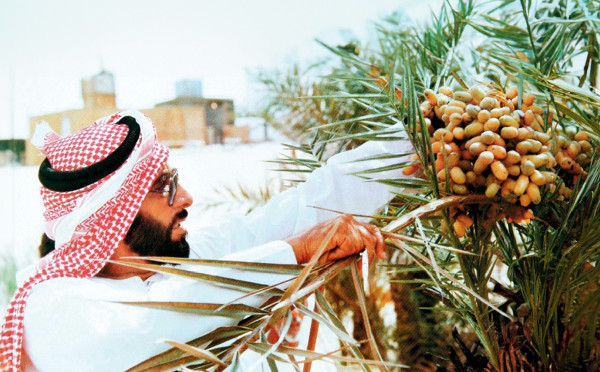 UAE Focuses on Agriculture for Future Growth