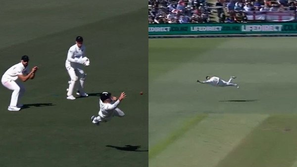 Phillips Takes Stunning Catch Against England Phillips Takes Stunning Catch Against England