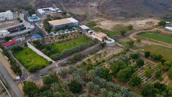 Al Baha's Tourist Farms: Nature's Perfect Retreat Al Baha's Tourist Farms: Nature's Perfect Retreat