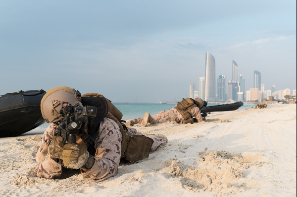 UAE Armed Forces Shine at Union Fortress
