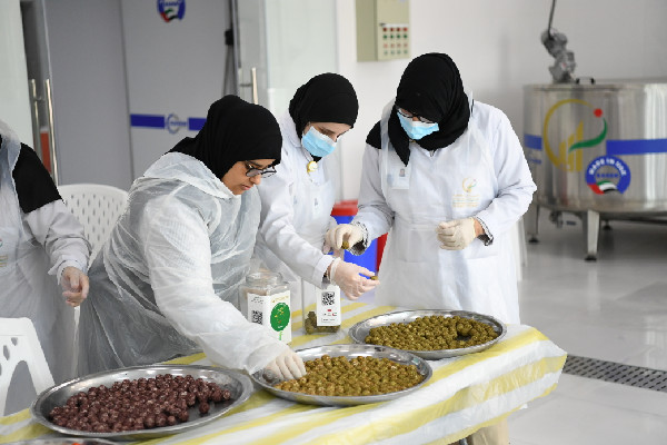 Empowering People of Determination in 2024