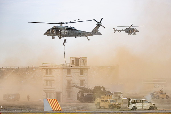 UAE Armed Forces Shine at Union Fortress