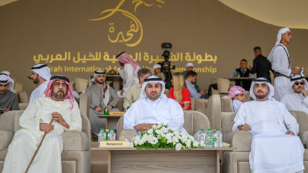 Fujairah Hosts International Arabian Horse Championship 2024