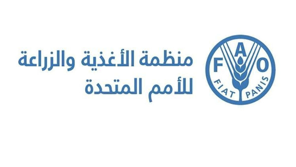 Food Price Index Rises Due to Oil Prices Food Price Index Rises Due to Oil Prices