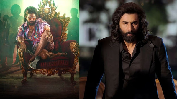 Pushpa 2 Surpasses Animal's Box Office Collection Pushpa 2 Surpasses Animal's Box Office Collection
