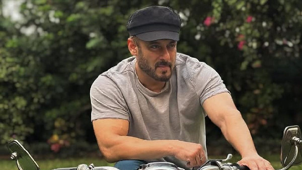 Pushpa 2 Leads Box Office in 2024 Pushpa 2 Leads Box Office in 2024