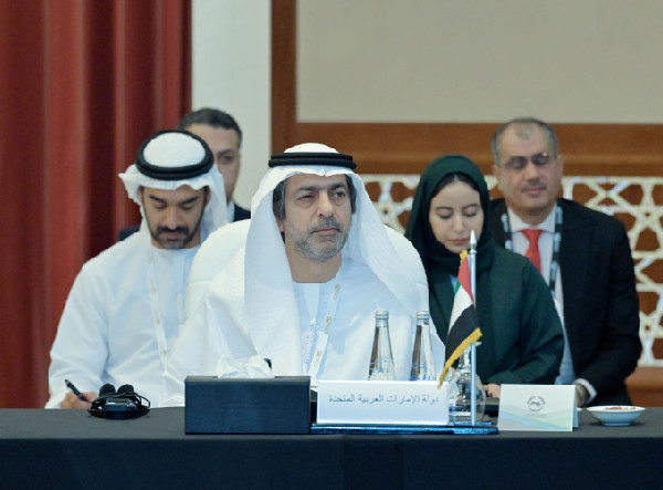 Arab Finance Undersecretaries Discuss Digital Transformation