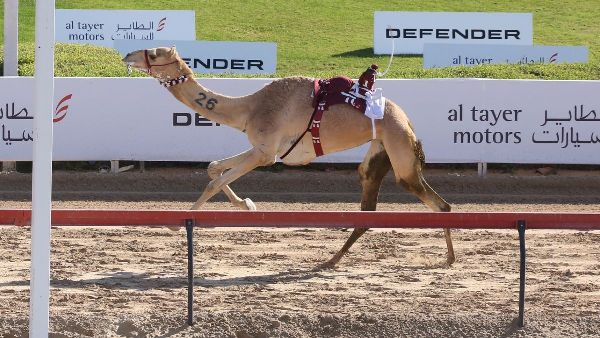 Icon Wins Dubai Crown Prince Sword Icon Wins Dubai Crown Prince Sword