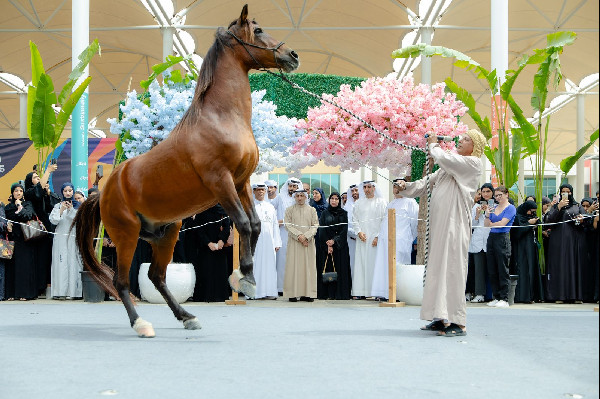 UAE University Hosts Agriculture Festival 2025