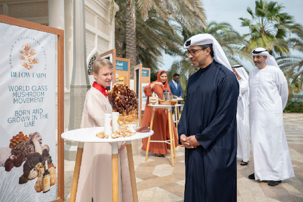 Mansour bin Zayed Meets Naama Initiative Team