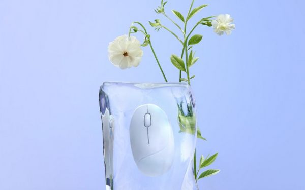 Your Mouse Can Now Smell Like Lavender  Thanks to ASUS