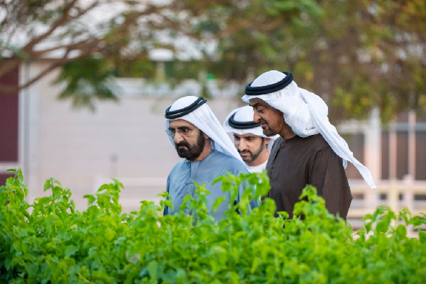 UAE Leaders Discuss National Affairs in Dubai