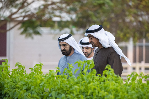 UAE Leaders Meet at Al Marmoom in Dubai