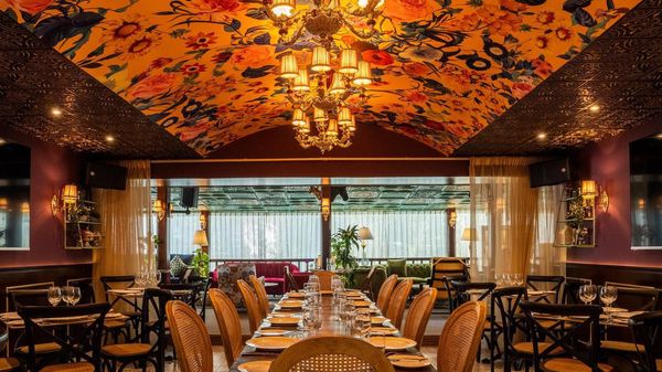 Explore Holi Specials In Dubai  Celebratory Events And Offers