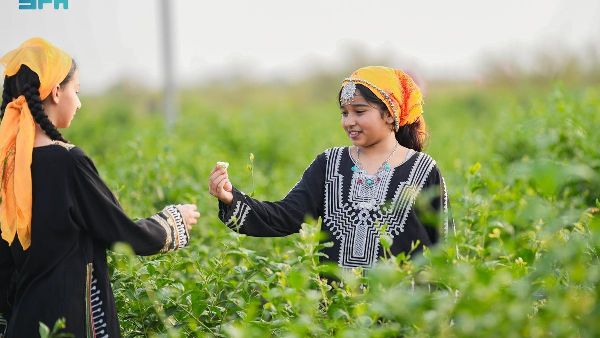 Jazan's Rural Farms: A Unique Ramadan Experience Jazan's Rural Farms: A Unique Ramadan Experience