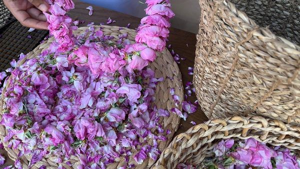 Taif Roses Enhance Saudi Arabian Grand Prix