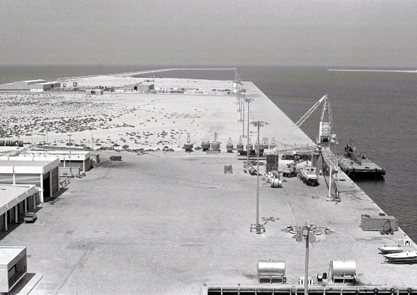 Jafza's Role in Dubai's Economic Success