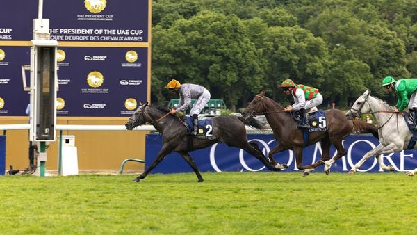 Luwsail Claims Gr1 Title at UAE President s Cup Luwsail Claims Gr1 Title at UAE President s Cup