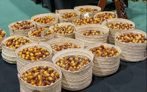 Liwa Date Festival Begins on July 14, 2025