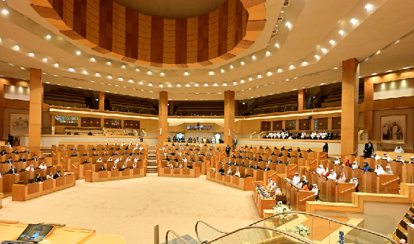 FNC Holds Special UAE–EU Session