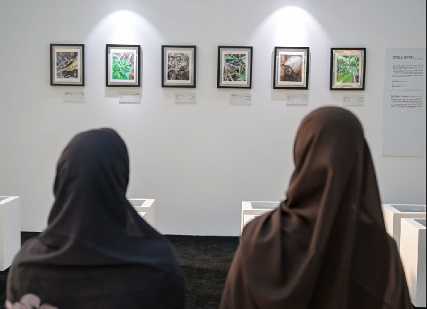 Revised Visions Exhibition at Manarat Al Saadiyat