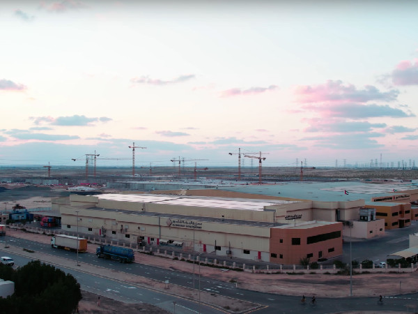 Al Barakah Dates Factory: Global Export Leader