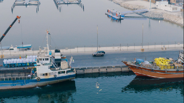 Hamriyah Port Development Approved by Sheikh Mohammed