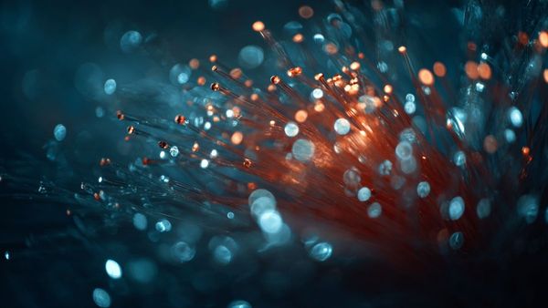 AI s Influence on Submarine Networks and Connectivity