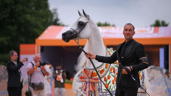 Highlights from Global Champions Arabians Tour 2025 Highlights from Global Champions Arabians Tour 2025