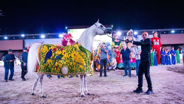 Highlights from the 2025 Global Champions Arabians Tour Highlights from the 2025 Global Champions Arabians Tour