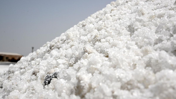 Saudi Arabia's Salt Industry Hits SAR 3.7 Billion Saudi Arabia's Salt Industry Hits SAR 3.7 Billion