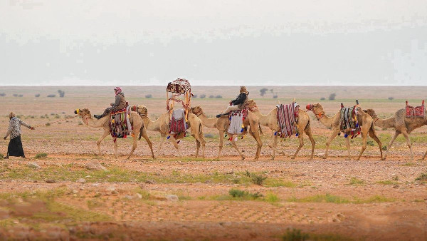 The Shaddad: A Symbol of Desert Ingenuity