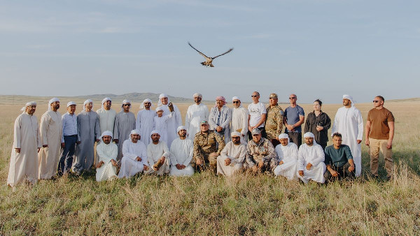 2,355 Falcons Returned to Wild in Kazakhstan