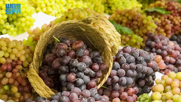 Boosting Local Economy Through Grape Farming Boosting Local Economy Through Grape Farming