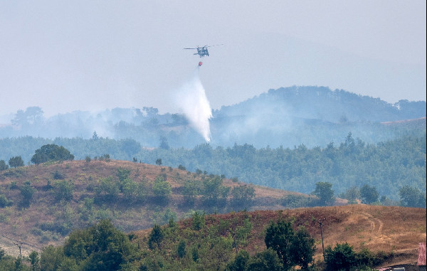 UAE's Humanitarian Relief Efforts Explained