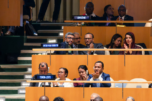 UAE Delegation at Two-State Solution Conference