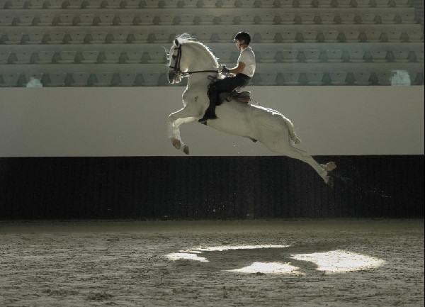 New Abu Dhabi Equestrian School Opens in November