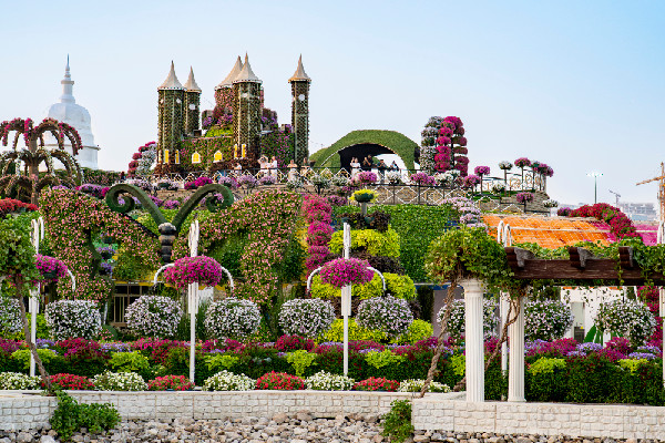 Dubai Miracle Garden's 14th Season Opens
